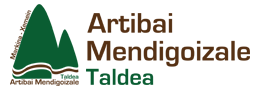 Artibai Mendigoizale Taldea